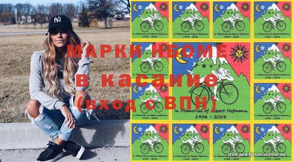 хмурый Абаза