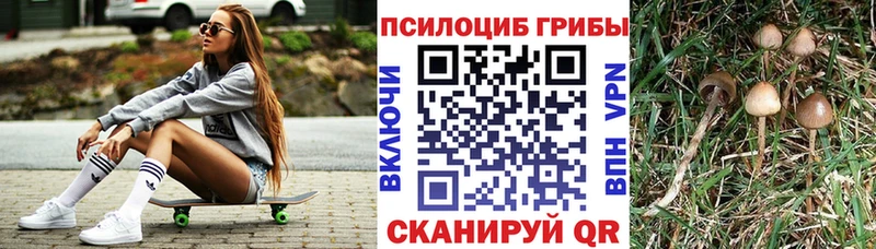 Галлюциногенные грибы мухоморы  hydra ONION  Катайск 